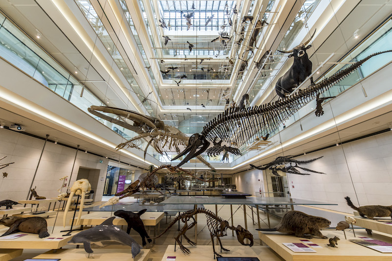 MUSE Museo delle Scienze Ingresso MUSE